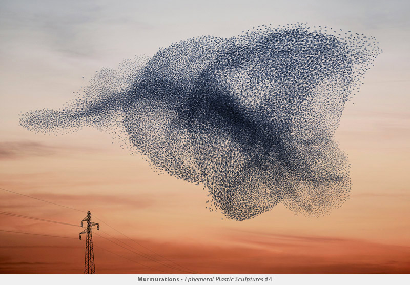 Illustration for article titled Photographer transforms plastic bags into beautiful bird flocks